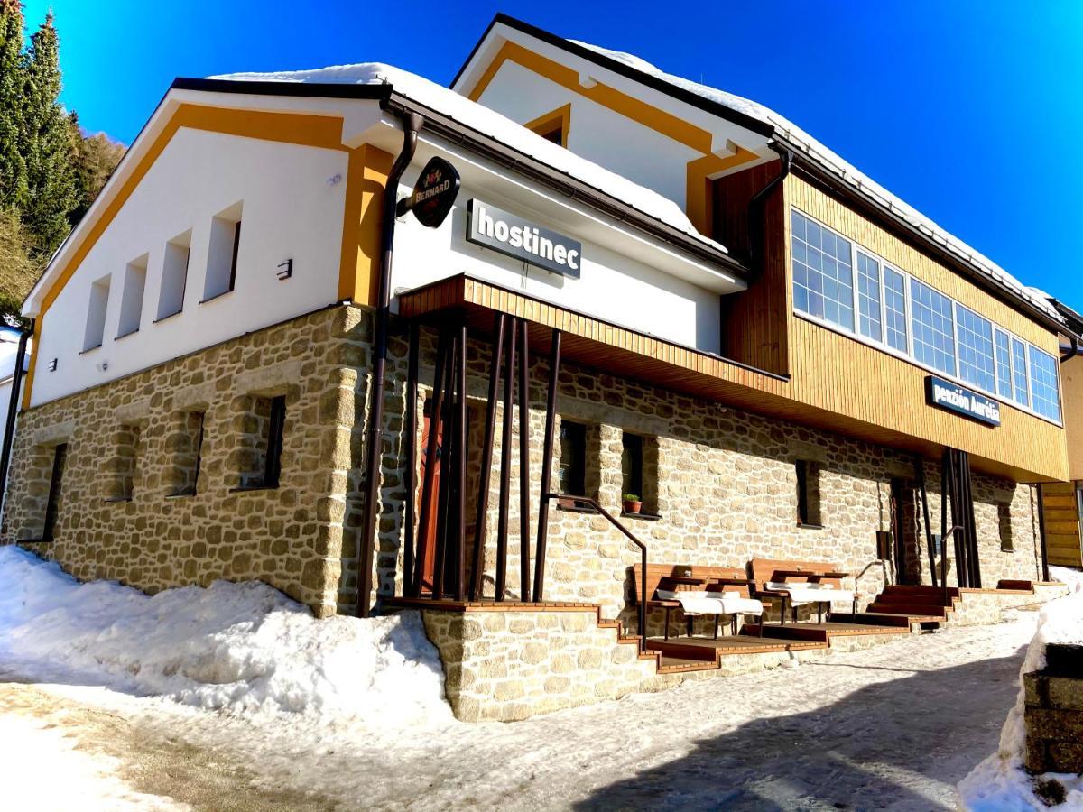 Aurelia Hotell Donovaly Exteriör bild